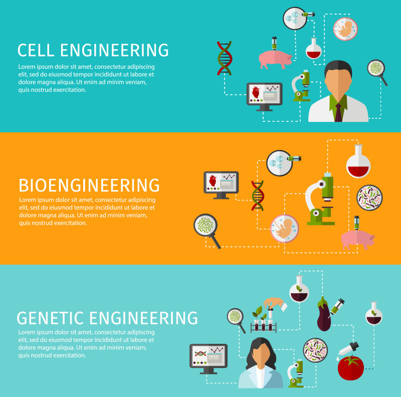 科學(xué)與創(chuàng)新的交匯 化學(xué)實(shí)驗(yàn)室與生物技術(shù)的融合——橫幅矢量設(shè)計(jì)創(chuàng)意解析