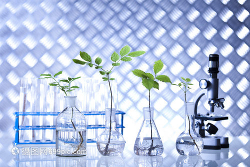 玻璃瓶中綻放的科技之花 轉基因植物在生物技術中的新探索